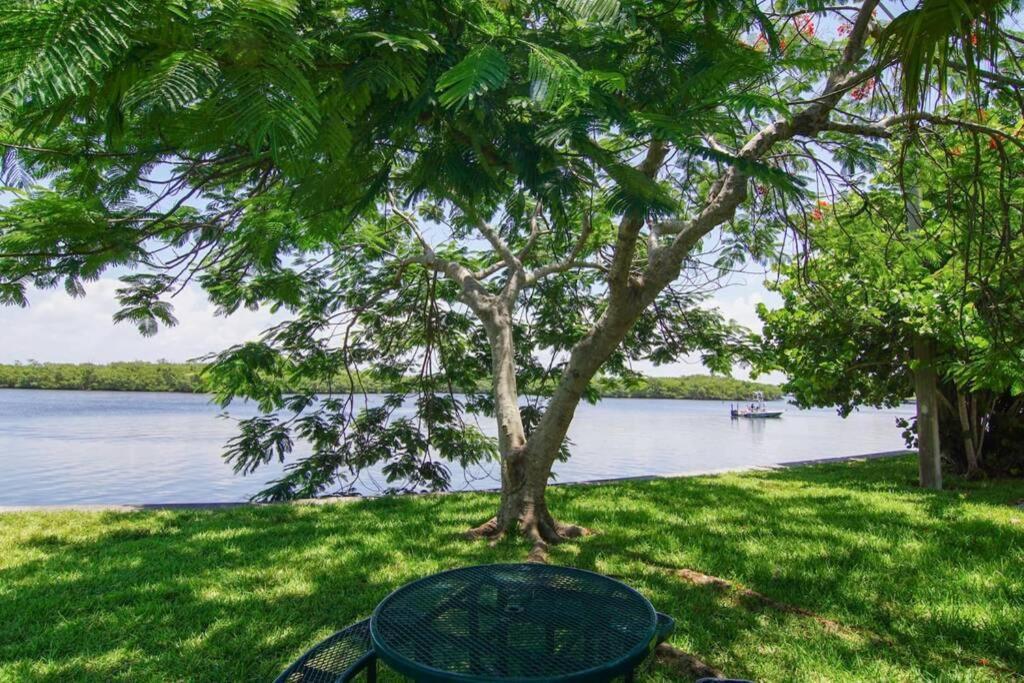 Sea Breeze, Studio 510, Beach Steps Away!+Pool+Wifi รัสกิน ภายนอก รูปภาพ